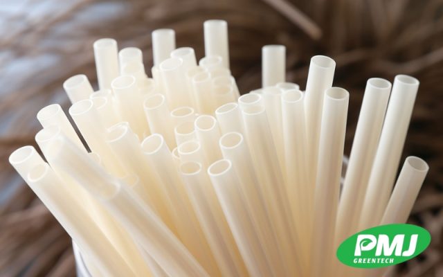 iềm năng sản xuất nhựa sinh học ở Việt Nam và PMJ GREENTECH là nhà sản xuất hàng đầu