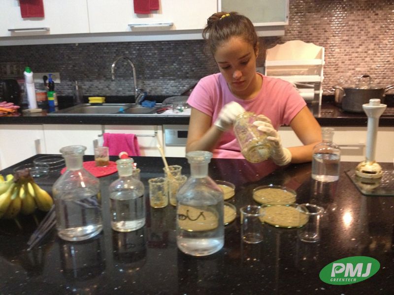 Nhựa sinh học được làm từ gì? Có rất nhiều điều bạn không thể ngờ tới nhua sinh hoc duoc lam tu gi 2