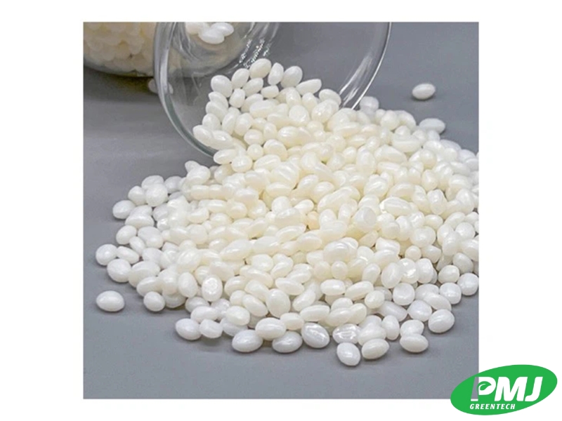 Top các loại hạt nhựa sinh học phổ biến nhất hiện nay Top các loại hạt nhựa sinh học phổ biến nhất hiện nay