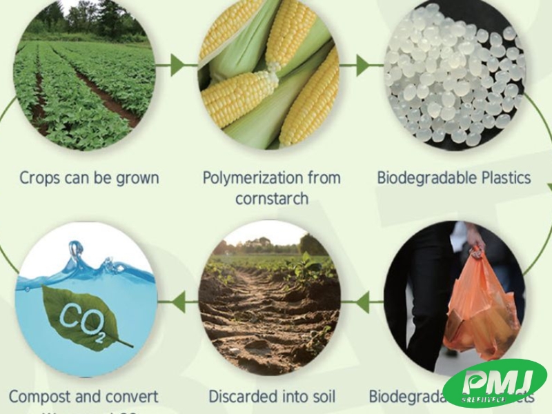 So sánh hạt nhựa sinh học và nhựa truyền thống. Tại sao nên sử dụng nhựa sinh học? So sánh hạt nhựa sinh học và nhựa truyền thống