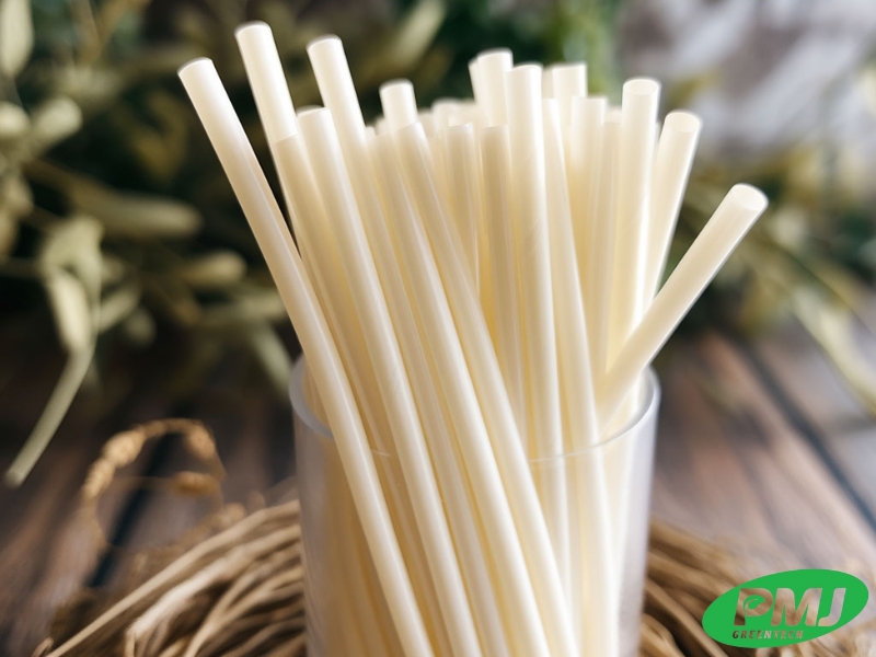 So sánh hạt nhựa sinh học và nhựa truyền thống. Tại sao nên sử dụng nhựa sinh học? So sánh hạt nhựa sinh học và nhựa truyền thống