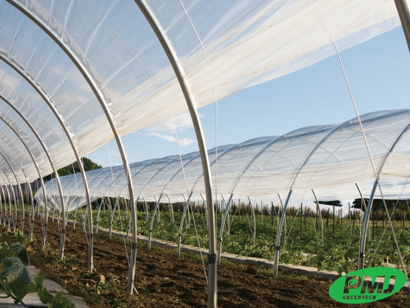 Chất phụ gia nhựa là gì?