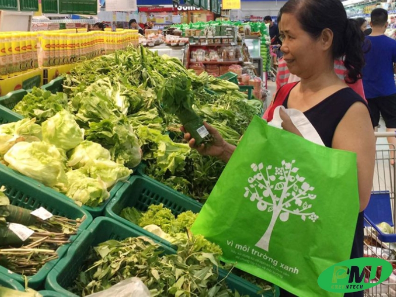 Chính sách và quy định ảnh hưởng đến thị trường nhựa sinh học Thị trường nhựa sinh học