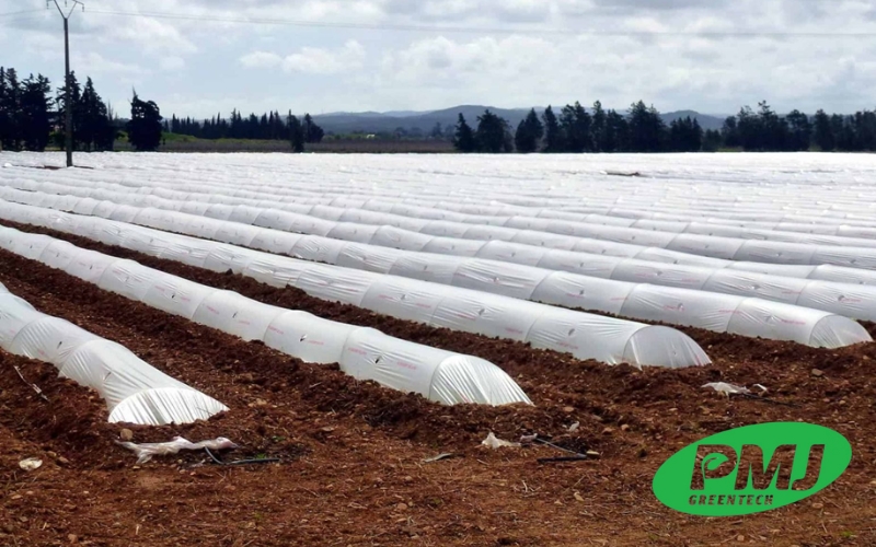 cung cấp phụ gia chống tia uv