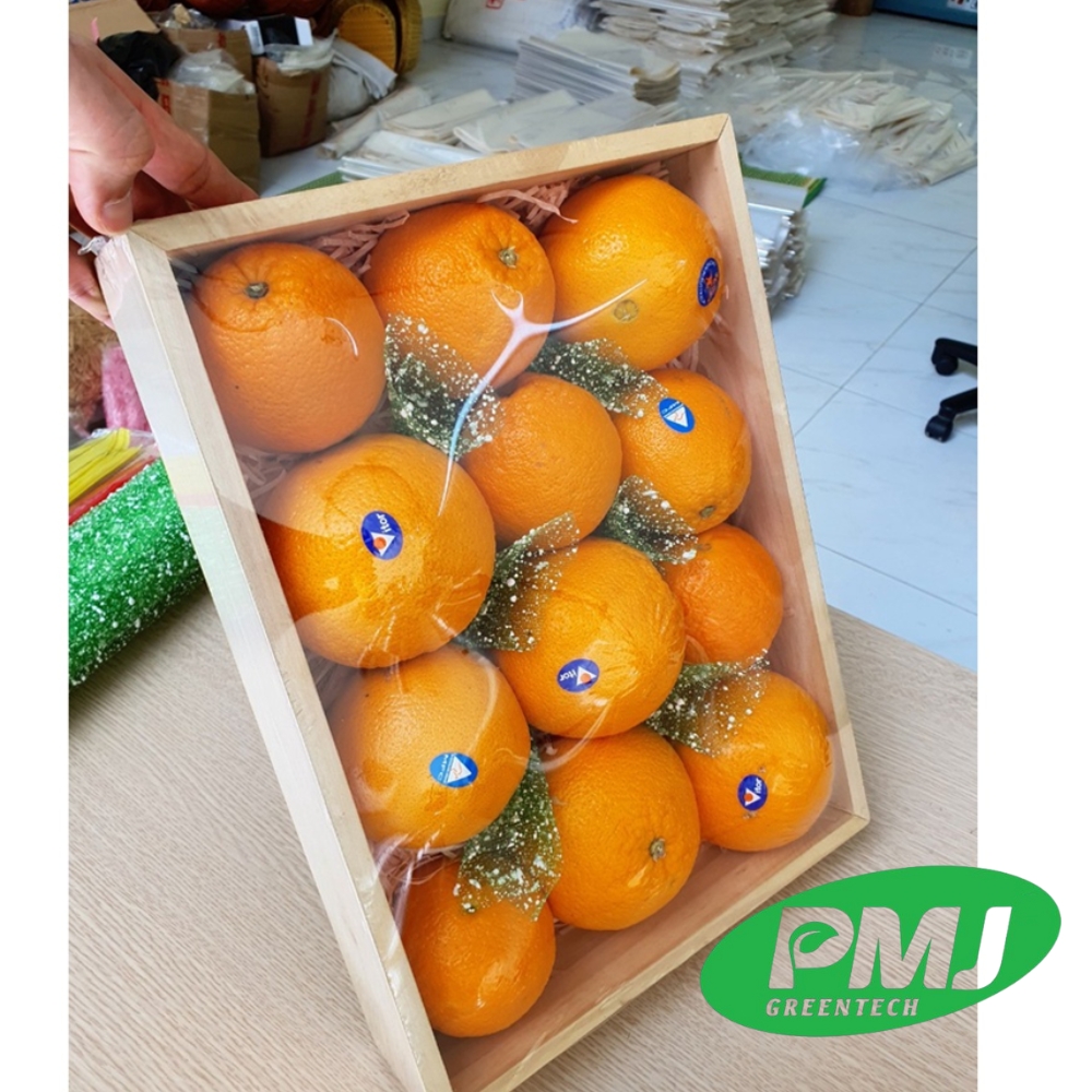 phụ gia nhựa chống chín