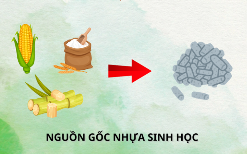 Làm thế nào để nhận biết sản phẩm làm từ nhựa sinh học?