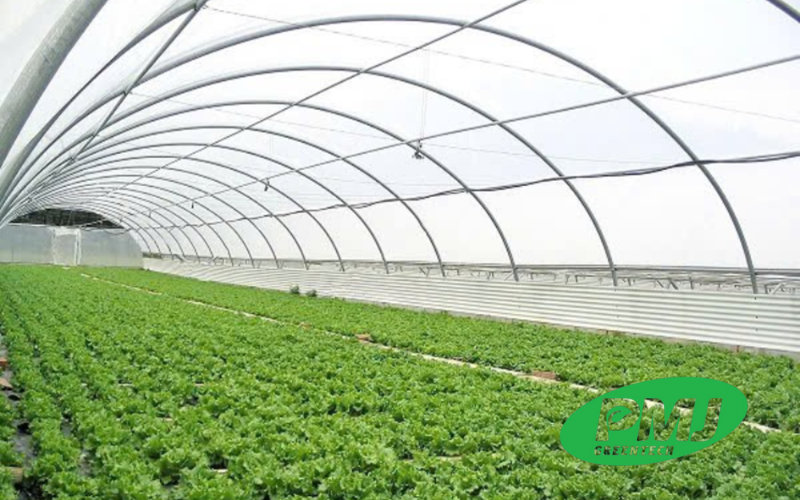 Hạt phụ gia chống tia UV là gì? Có thực sự cần thiết trong sản xuất nhựa ngoài trời? hạt phụ gia chống tia UV