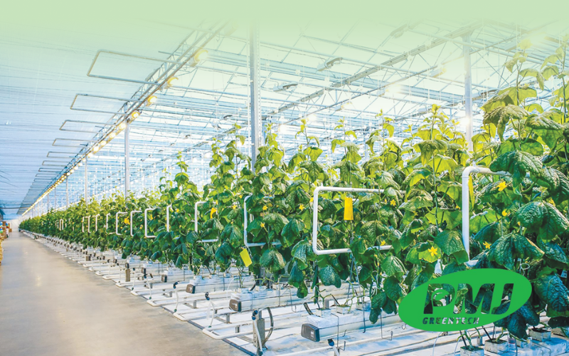 Lợi ích của phụ gia chống oxy hóa cho nhựa phụ gia chống oxy hóa cho nhựa