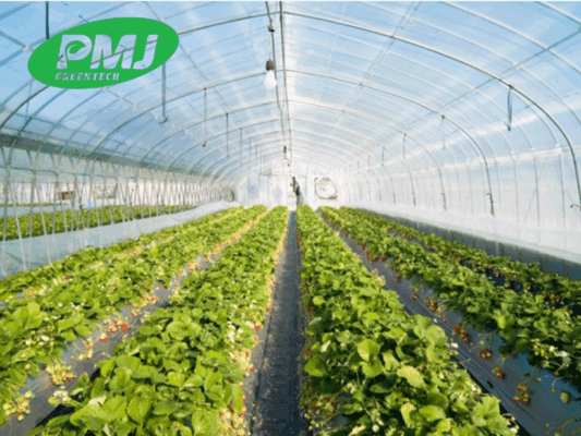 Bio filler masterbatch là gì? Ứng dụng và lợi ích trong ngành nhựa hiện đại