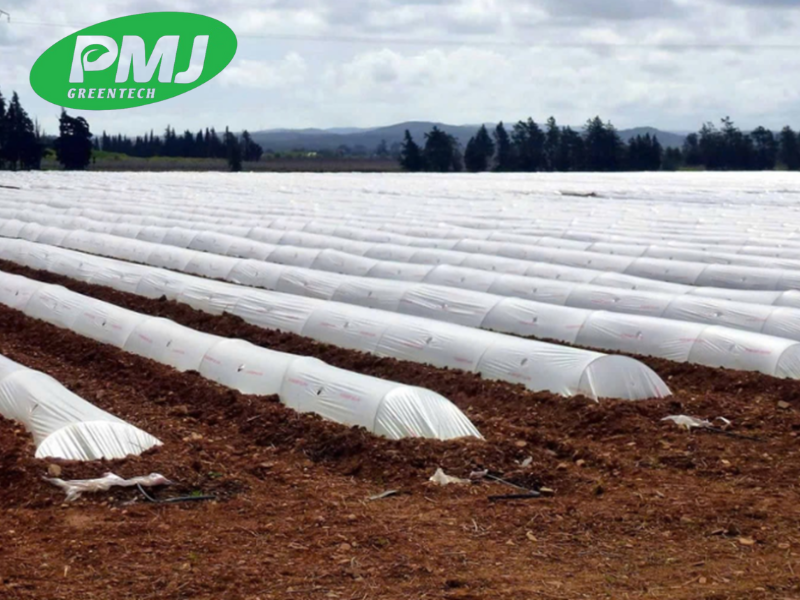 địa chỉ cung cấp phụ gia chống tia cực tím