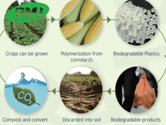 Hạt nhựa sinh học là gì? Tất tần tật thông tin bạn cần biết