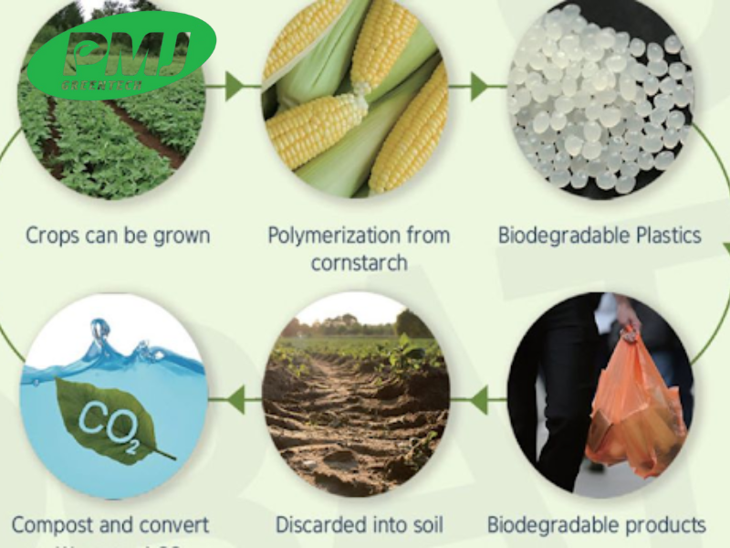 hat nhua sinh hoc la gi