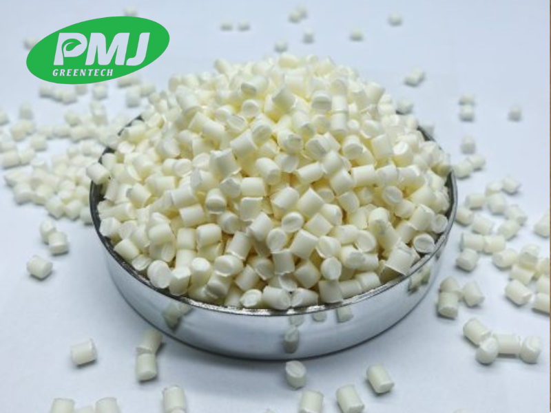 Nhựa kỹ thuật sinh học là gì? Giải pháp BIO COMPOUND 01 từ PMJ GREENTECH Nhựa kỹ thuật sinh học là gì? Giải pháp BIO COMPOUND 01 từ PMJ GREENTECH