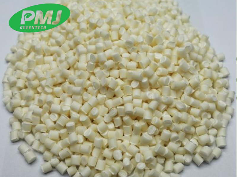 Nhựa kỹ thuật sinh học là gì? Giải pháp BIO COMPOUND 01 từ PMJ GREENTECH Nhựa kỹ thuật sinh học là gì? Giải pháp BIO COMPOUND 01 từ PMJ GREENTECH
